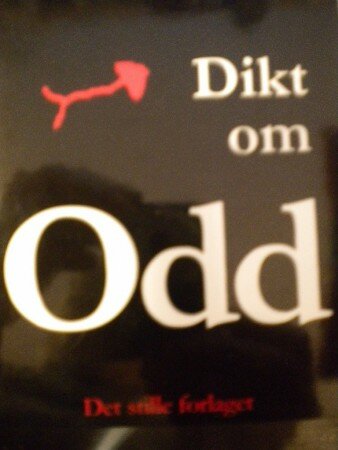 Dikt om Odd (Stian Johansen)