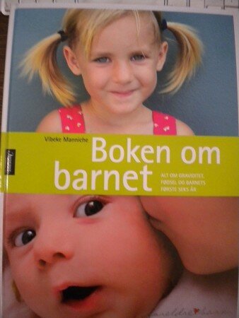 Boken om barnet (Vibeke Manniche)