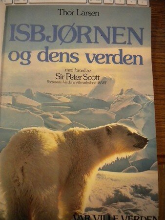 Isbjørnen og dens verden (Thor Lasrsen)